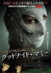 包帯女の正体が暴かれる「グッドナイト・マミー」
