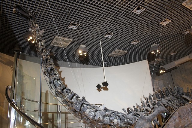 ピクサー最新作のピーター・ソーン監督、18メートルの恐竜化石と対面し大感激！ - 画像3