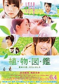 「植物図鑑 運命の恋、ひろいました」 のポスタービジュアル「植物図鑑 運命の恋、ひろいました」