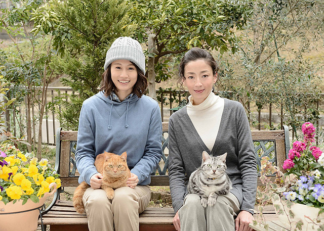「グーグーだって猫である2」で共演する 前田敦子と宮沢りえ