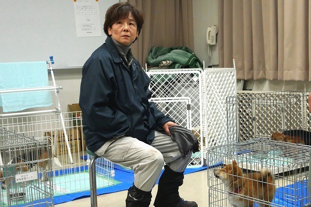 加瀬亮＆戸田恵梨香共演のドラマ「この街の命に」、犬猫殺処分の悲痛な現実訴えるポスター - 画像3