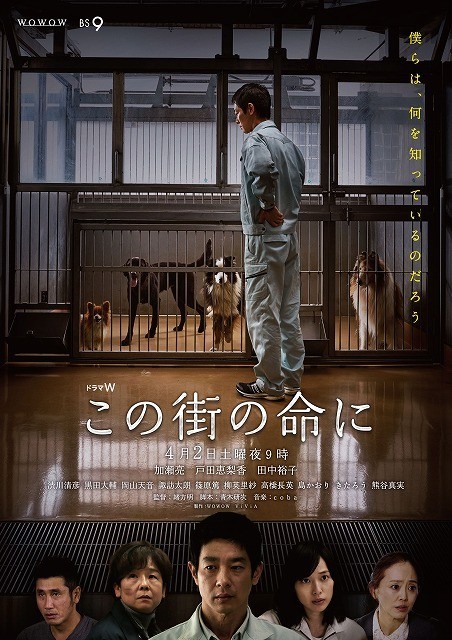 加瀬亮＆戸田恵梨香共演のドラマ「この街の命に」、犬猫殺処分の悲痛な現実訴えるポスター - 画像7