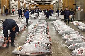 築地市場に1年以上密着「TSUKIJI WONDERLAND(築地ワンダーランド)」