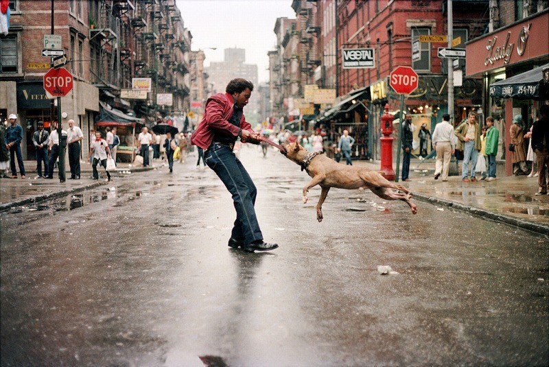 NYの15人の写真家を追うドキュメンタリー「フォトグラファーズ・イン・ニューヨーク」7月公開