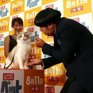 柴犬、ミニブタ、ワシミミズク！個性あふれる“ペット”たちにバナナマンがメロメロ