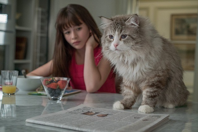 ケビン・スペイシーが猫になっちゃった！「メン・イン・キャット」日本公開は11月25日 - 画像2