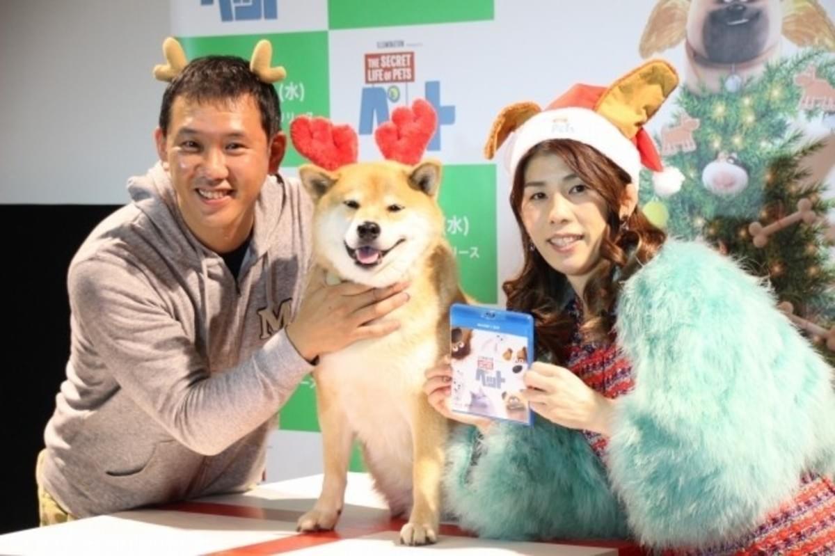 吉田沙保里 初対面の人気犬 柴犬まるにメロメロ むっちゃかわいいー 映画ニュース 映画 Com