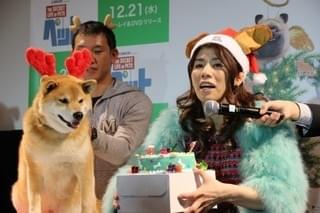 吉田沙保里、初対面の人気犬・柴犬まるにメロメロ「むっちゃかわいいー！」