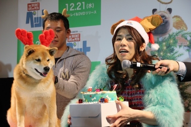 吉田沙保里、初対面の人気犬・柴犬まるにメロメロ「むっちゃかわいいー！」 - 画像6