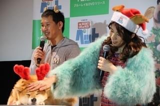 吉田沙保里、初対面の人気犬・柴犬まるにメロメロ「むっちゃかわいいー！」