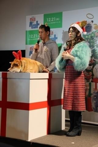 吉田沙保里、初対面の人気犬・柴犬まるにメロメロ「むっちゃかわいいー！」