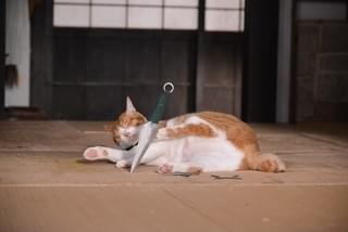 画像4