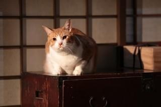 画像32