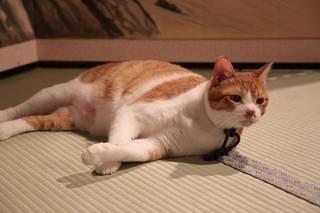 画像23