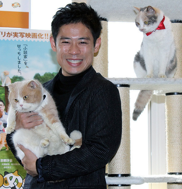 伊藤淳史、愛犬家も主演映画で共演した猫にいやされ「ニャンとも言えない感じ」 - 画像1