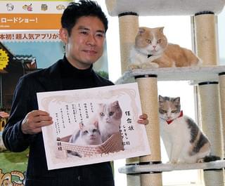 伊藤淳史、愛犬家も主演映画で共演した猫にいやされ「ニャンとも言えない感じ」