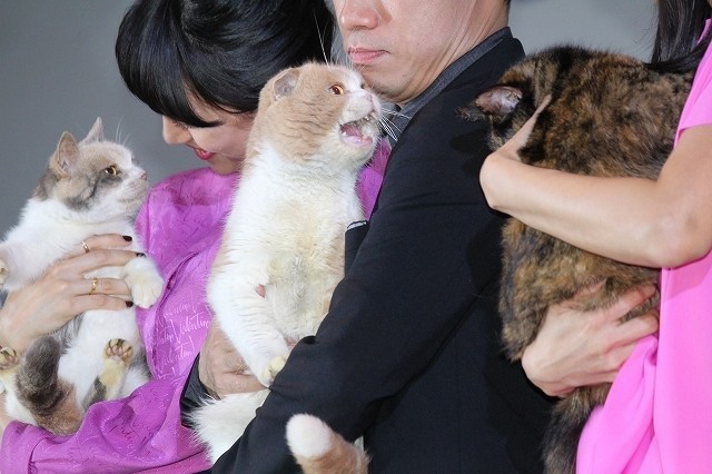 伊藤淳史「ねこあつめの家」でのネコたちの名演技に脱帽 - 画像6