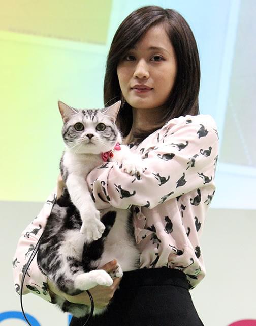 前田敦子 愛猫との充実ライフを満喫 2人 ともねえねえってやってくる 映画ニュース 映画 Com