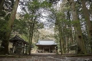 画像4
