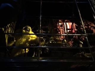 画像12