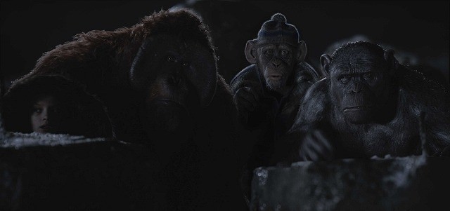 柳沢慎吾がユーモアと知性を秘めた猿に！「猿の惑星」最新作の吹き替え声優に決定 - 画像2