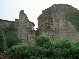 画像11