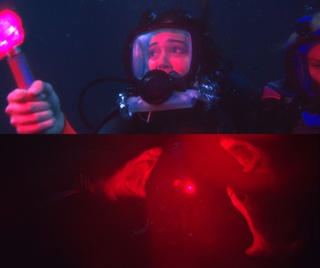 人食いザメがひしめく海底に置き去り…「海底47m」決死の脱出映像公開