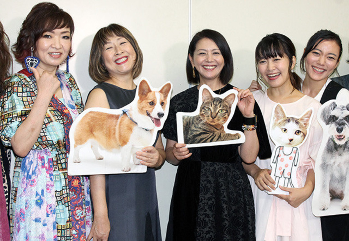 小泉今日子 動物愛護イベントで亡き愛猫への思い込め あなたに会えてよかった 映画ニュース 映画 Com