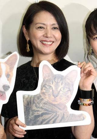 小泉今日子、動物愛護イベントで亡き愛猫への思い込め「あなたに会えてよかった」