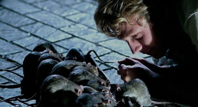 閲覧注意！ ネズミの大群を投入した幻の動物パニック映画「ウイラード」名演動画公開 - 画像5