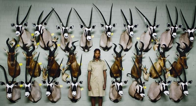 人はなぜ楽しむために動物を殺すのか 鬼才ザイドルの問題作 サファリ 1月公開 映画ニュース 映画 Com