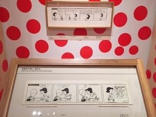 画像12