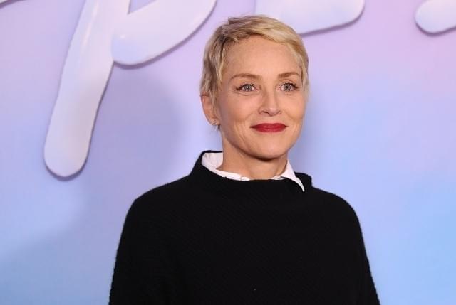 シャロン・ストーンがマフィア映画に主演 ノルウェー人女性監督の初英語作品