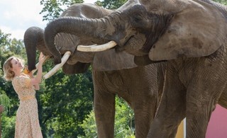 ジェシカ・チャステインと動物たちが触れ合う「ユダヤ人を救った動物園」本編映像公開