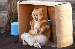 キスマイ北山宏光、衝撃の“猫姿”を披露 初主演映画「トラさん」場面写真