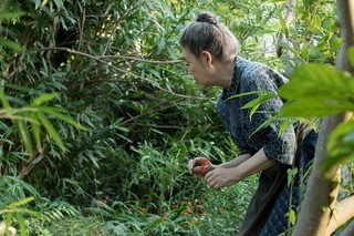 アリはどの脚から歩き出す？ 山崎努主演作「モリのいる場所」特別映像公開