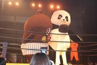 画像6