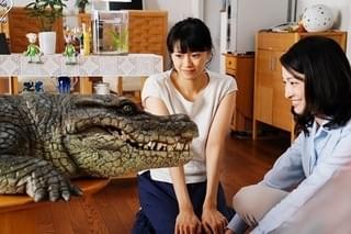 ワニの種類は「クロカイマン」「家に帰ると妻が必ず死んだふりをしています。」