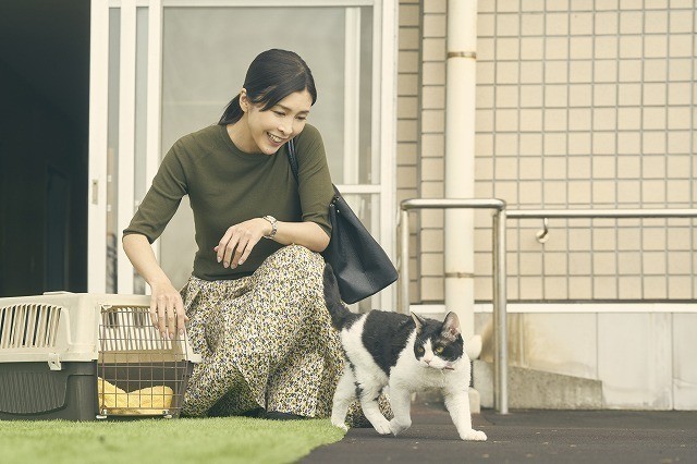 竹内結子「旅猫リポート」で福士蒼汰と初共演「穏やかで居心地が良かった」 - 画像1