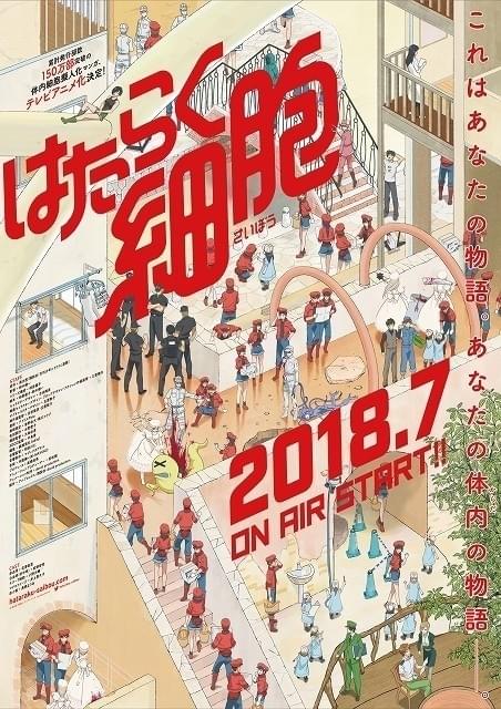 「はたらく細胞」に中村悠一、川澄綾子、遠藤綾、吉野裕行 OP曲は花澤香菜らが担当