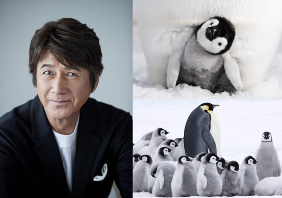 南極経験者 草刈正雄が 皇帝ペンギン ただいま 日本語版ナレーションに決定 映画ニュース 映画 Com