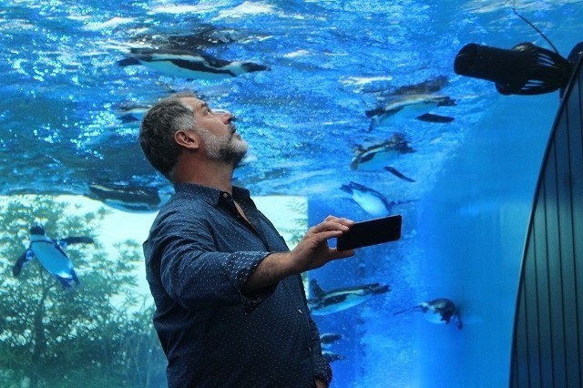 皇帝ペンギンに“絶滅の危機” リュック・ジャケ監督が警鐘「想像以上に深刻な状況」