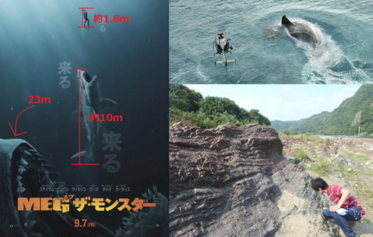化石のプロが激白 太古の超巨大ザメ Meg 今も日本のどこかに 映画ニュース 映画 Com