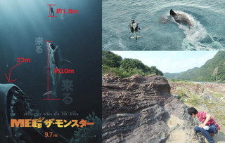 化石のプロが激白！太古の超巨大ザメ“MEG”、今も日本のどこかに？