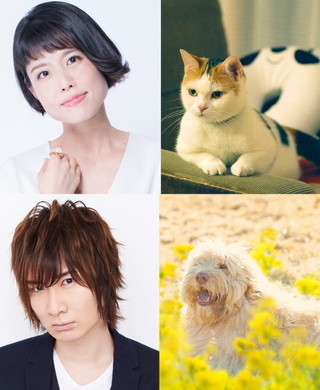 人気声優の沢城みゆきと前野智昭、「旅猫リポート」で猫と犬に！