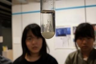 画像9
