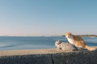 画像20