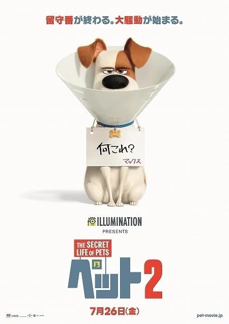 「ペット2」7月26日公開決定！不服そうなマックスとらえたポスターも披露