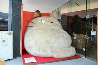 画像28