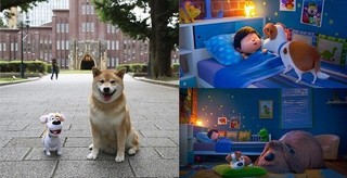 人気犬・柴犬まるがハリウッドデビュー！「ペット2」に“特別出演”